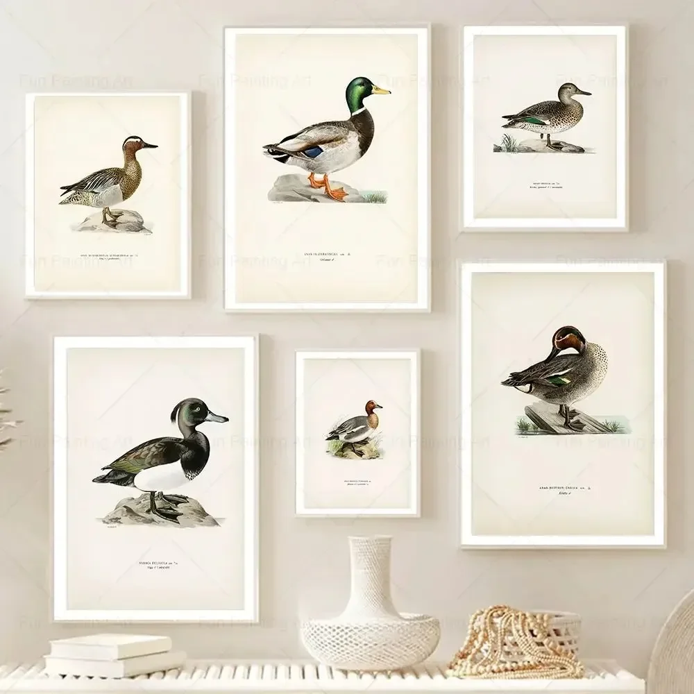 Vintage Duck Prints Rustic Mallard Duck Birds Lake Wall Art Poster Retro Nature Canvas Painting Pictures Farmhouse Room Decor