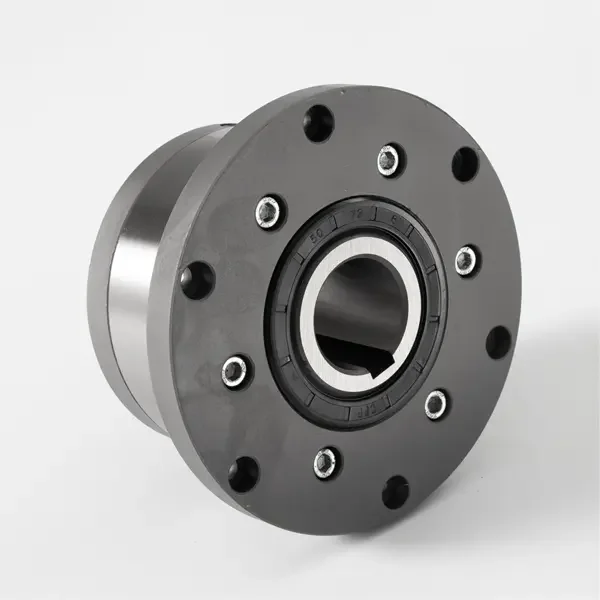 

AL120 F2D2/F4D2 Conveyor Backstop Clutch Freewheel Backstop Sprag Type Clutch