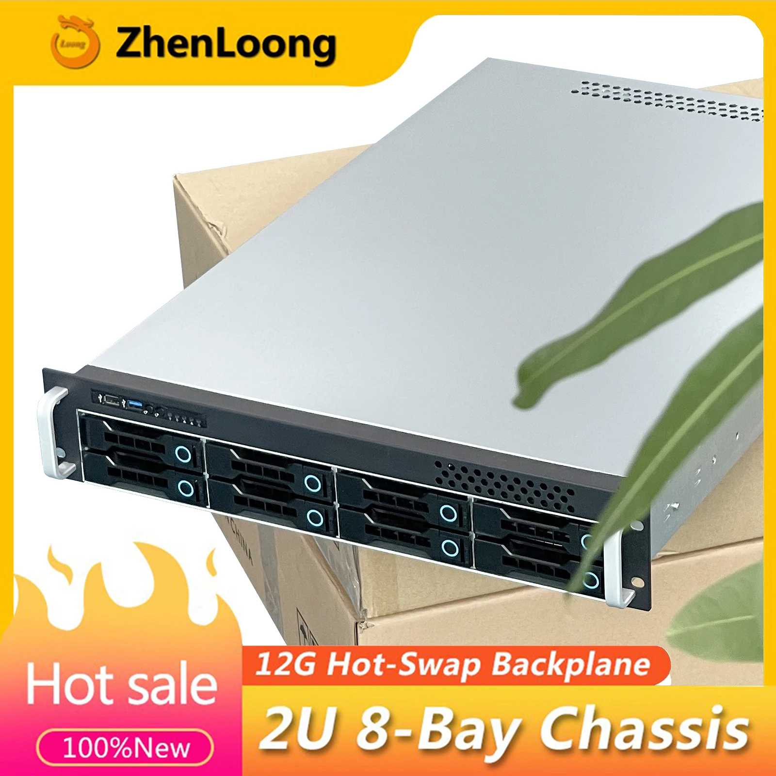ZhenLoong LT8 2U 8 Bay Server Chassis Hard Disk Drive Hot Swap Storage Rack NAS Case With Mini SAS SATA 12Gb Backbplane SFF8643