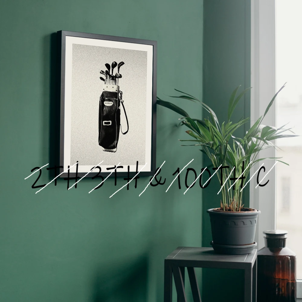 Golf 2 Prints Vintage Photos Poster Canvas Printing Poster Vintage Golf Bag and Ball for Office & Bedroom Stylish Golfer Poster