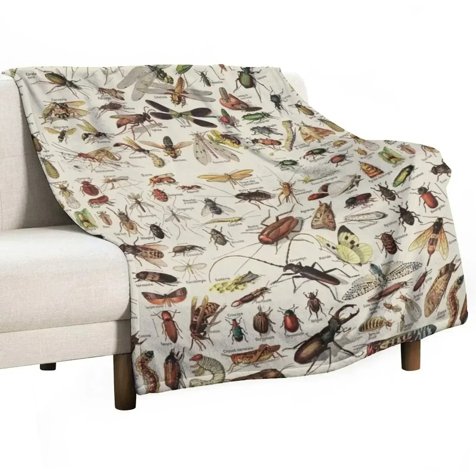 

Insects Chart. Scientific Illustration, text in french Throw Blanket Retros Beach Blankets