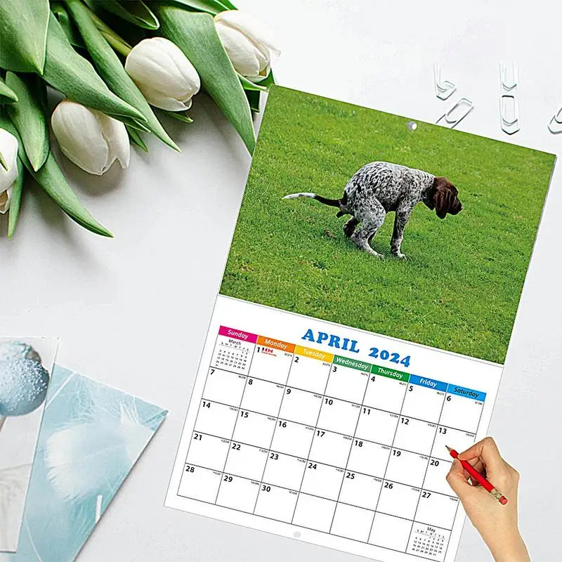 Honden Poepen Kalender 2024 Grappige Dieren Muur Kalender 11X11 Inch Open Dikke En Stevige Papieren Familie Planner En Dagelijkse Organizer