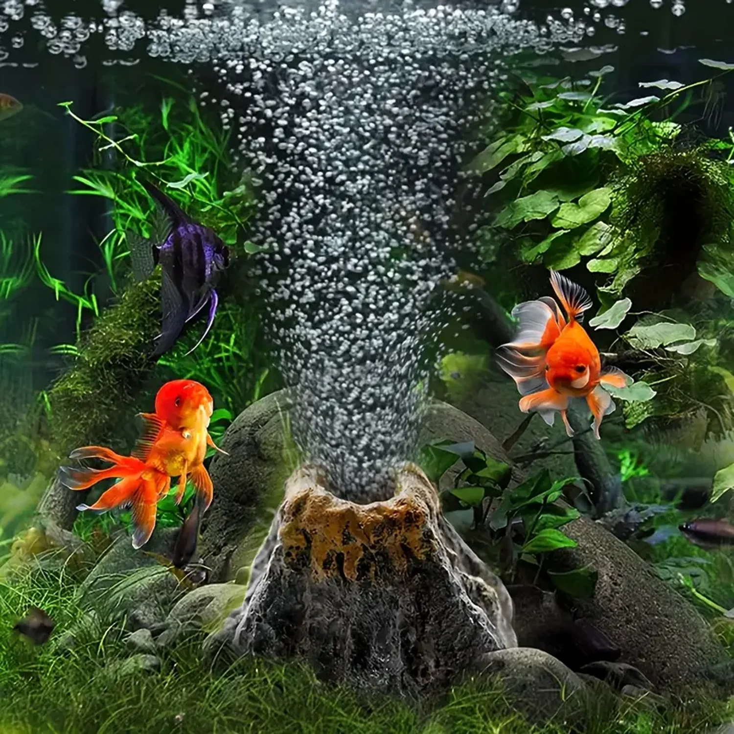 

Aquarium volcano shaped bubble stone, scallop shaped oxygen pump decoration, bubble stone pump aquarium fish tank decoration
