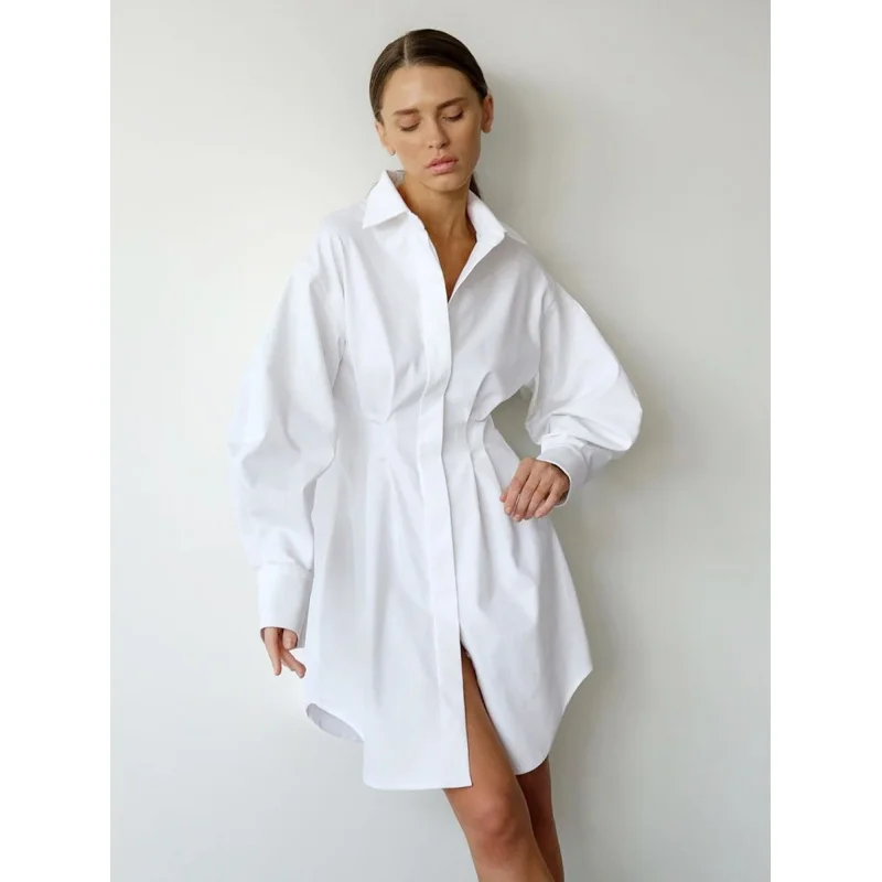 

Commuter French Shirt Dress 2024 Spring Fashion Waist-Controlled Solid Color Long Sleeve A- line Dress Short Women's Fengsb