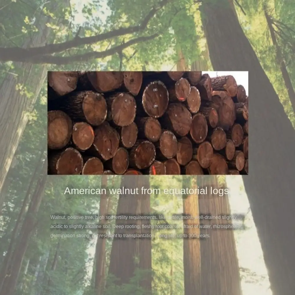 

Держатель для наушников из орехового дерева, алюминиевый сплав, настольный дисплей, держатель для игровой гарнитуры, твердая металлическая основа, высокое качество