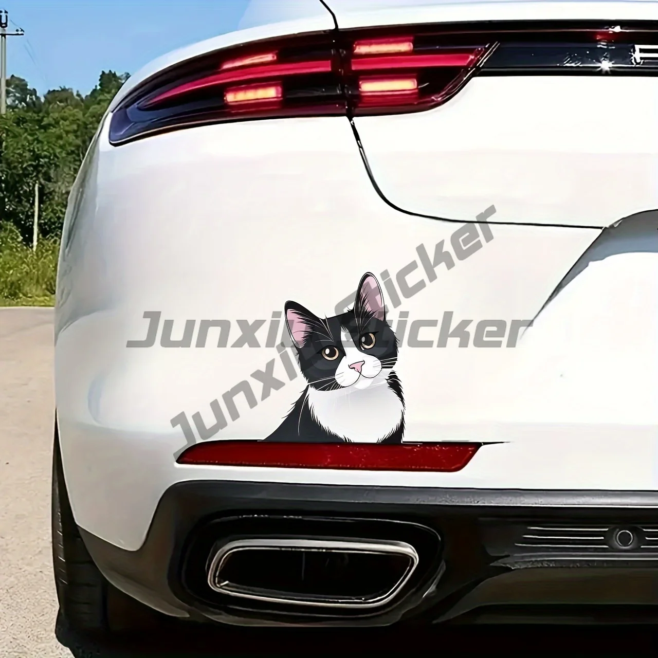 Black and White Tuxedo Cat Vinyl Decal Sticker for Car, Truck, Van, Wall, Laptop, Door, Window, Fridge - Cartoon Animal Design