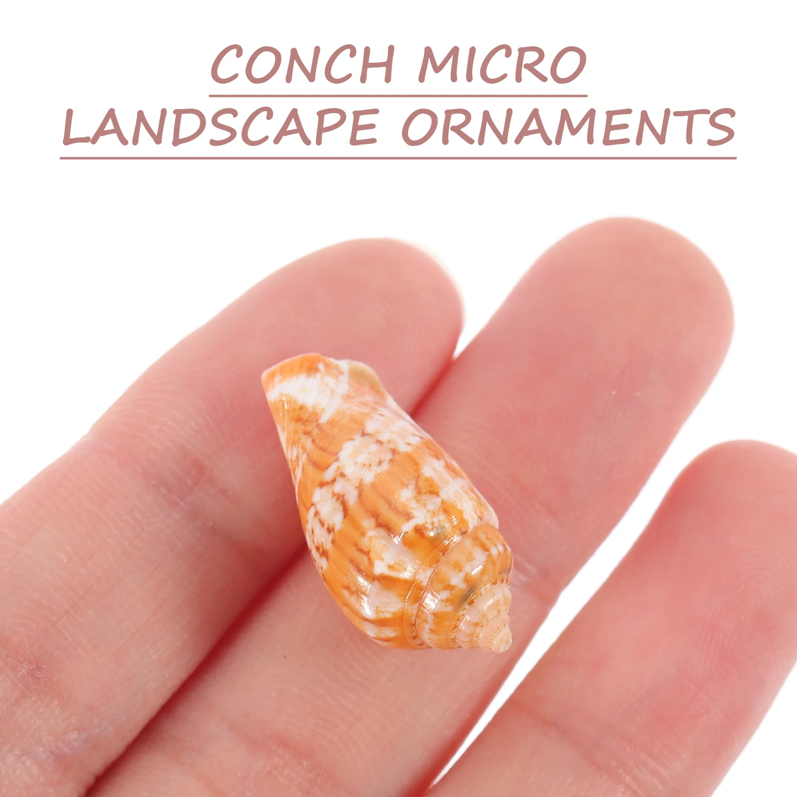 

100Pcs Natural Conch Shells Decorations Smooth Surface for Aquarium Fish Tank Home Landscape Garden DIY Crafts