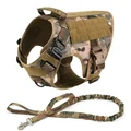 CM Harness Leash