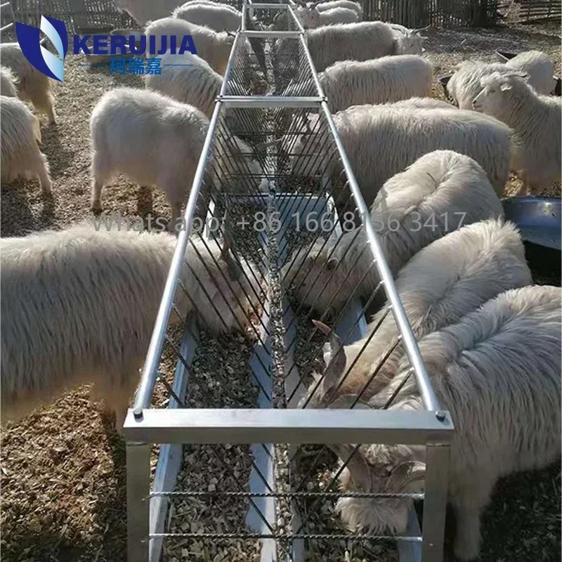 Supplier Livestock Equipment Double-sided Stainless Steel Sheep Breeding Trough