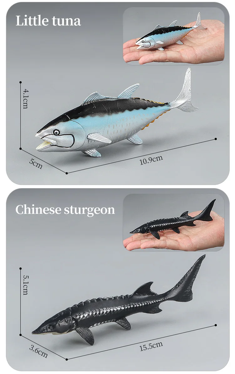 Meeresleben-Tiere-Modell, Actionfiguren-Set – Ozeanfisch, Thunfisch, Segelfisch, Bass, Zacker, Lachs, PVC, Lernspielzeug für Kinder – Detail 17