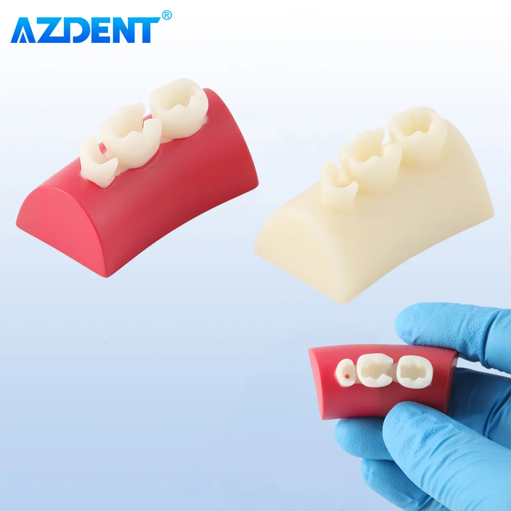 

AZDENT Dental Teeth Filling Practice Block Inlay Exercise Model Composite Resin 3-Unit Prep Simulator Typodont Study Teeth Model