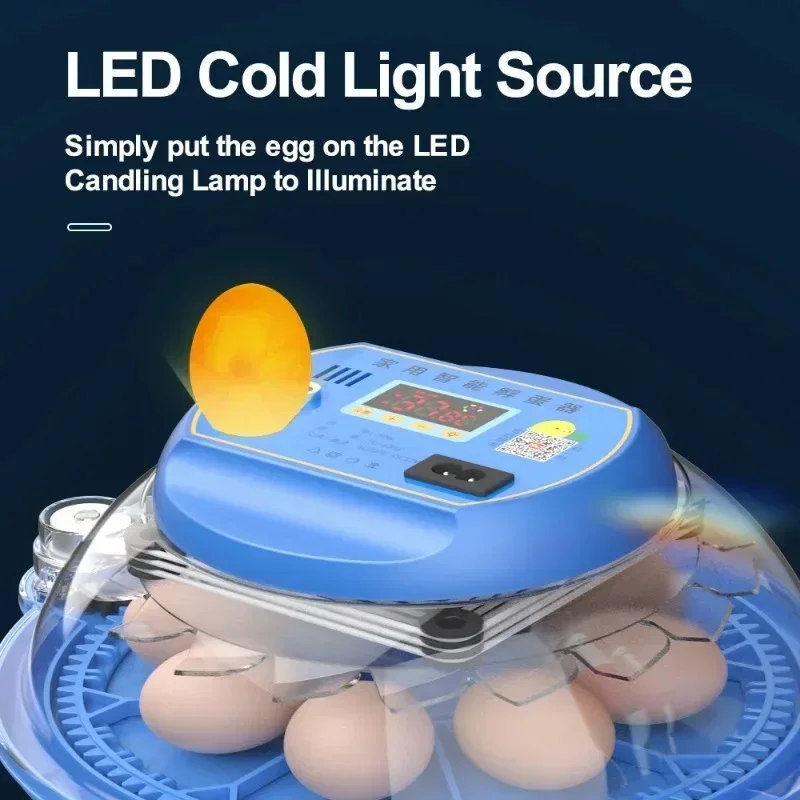 8 Egg Automatic Incubator for Eggs Brooder Chicken Duck Quail Birds Electric Incubation 12V 110V 220 V Incubators