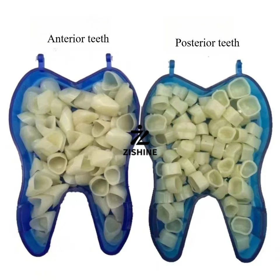 Dental Materials Temporary Dental Crowns Porcelain-fused-to-metal (PFM) Restorations Dental Veneers Anterior and Posterior Teeth