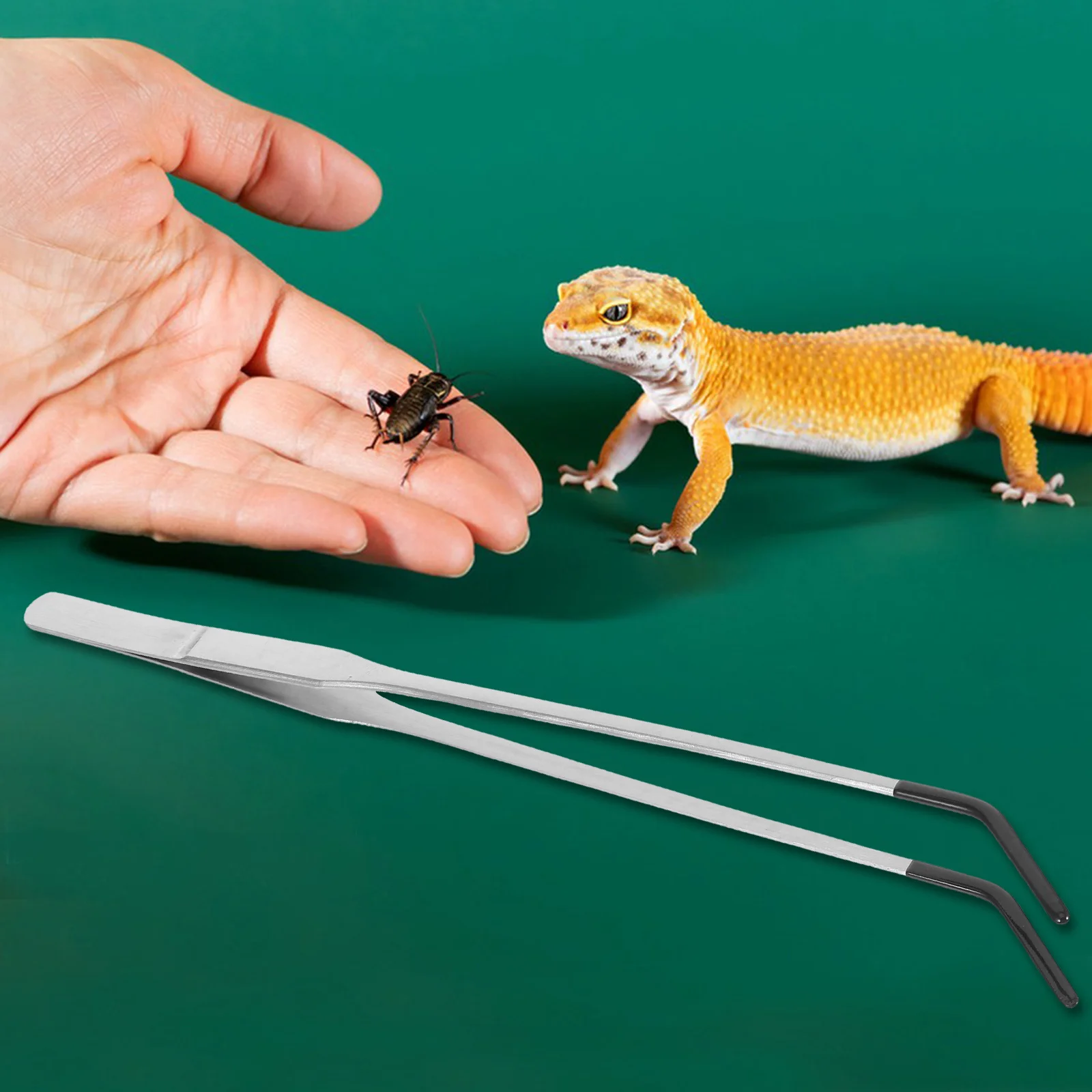 

2Pcs Reptile Feeding Tongs Rubber Tips Stainless Steel Curved Long Tweezers Durable Material Safe Design Aquarium Accessories