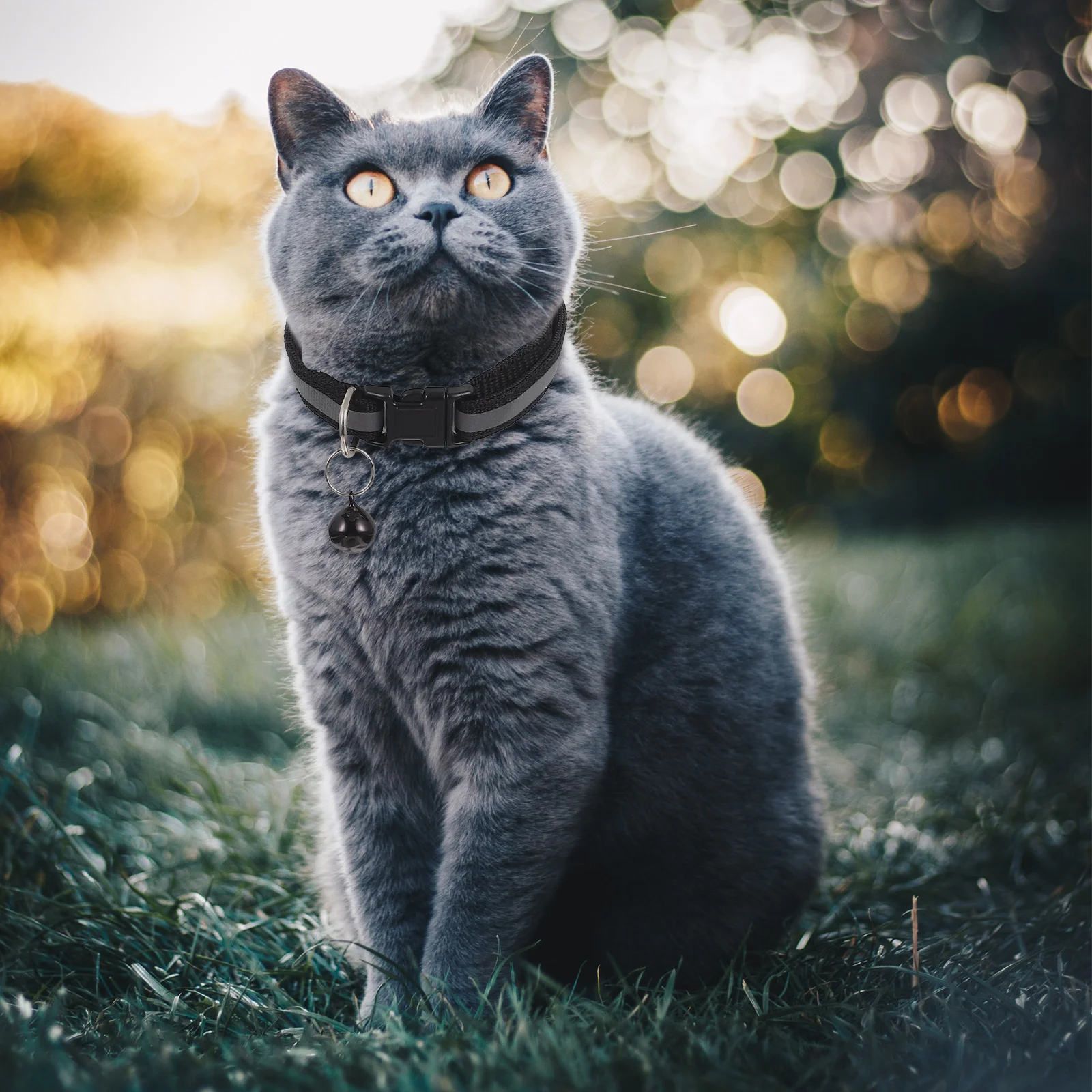 

5Pcs Reflective Cat Collars Adorable Design with Ring Bell for Christmas Birthday Parties Pets Accessories Cat Collar