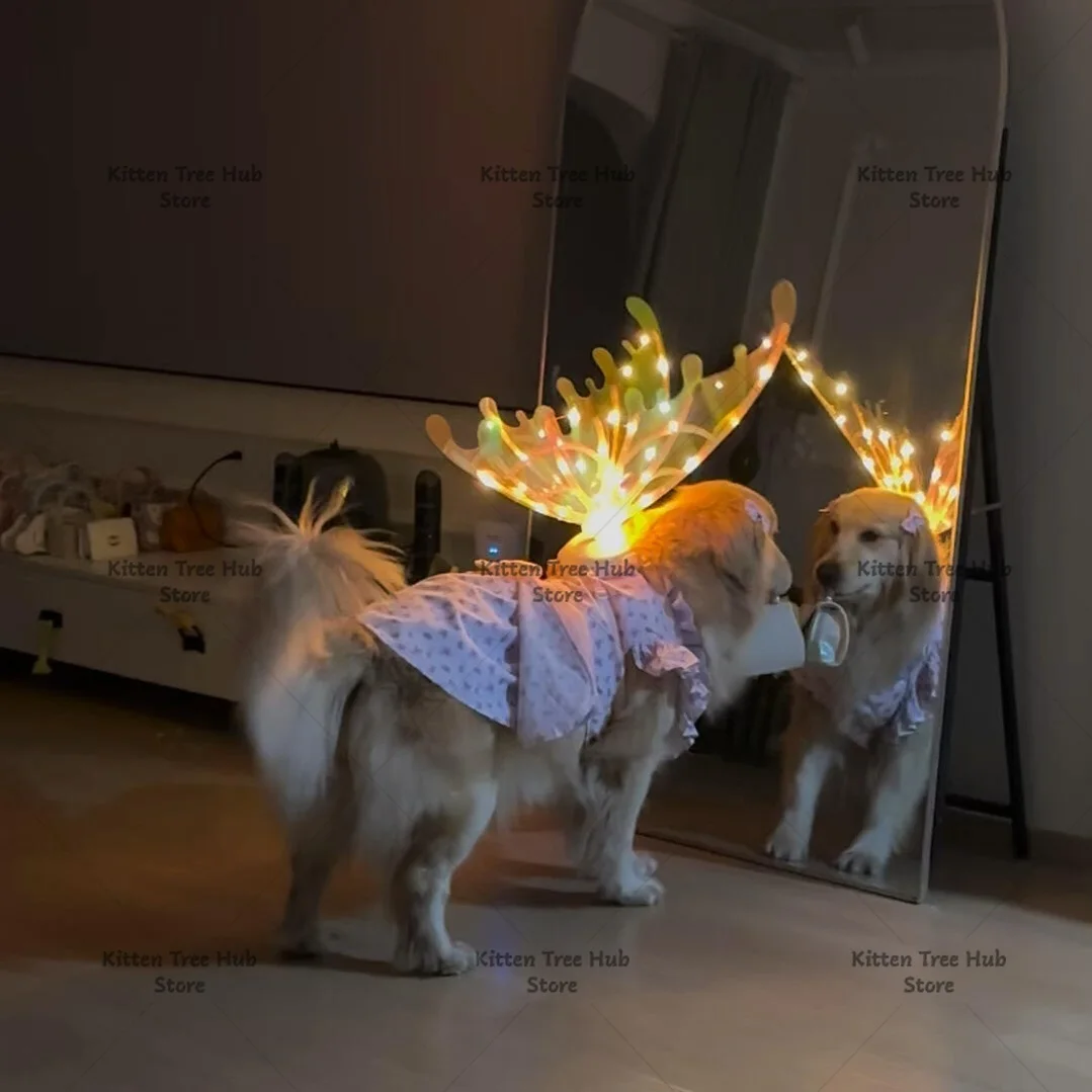 Dog Wings Birthday Wedding Dress Up with Music Dynamic Wings Pet Accessories