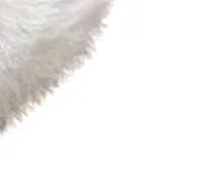 

New Cartoon Soft Plush Rabbit Doll Toy Keychain Sweet Cute Bag Pendant Keyring Accessories Pendant Decor Kid Gift Kawaii