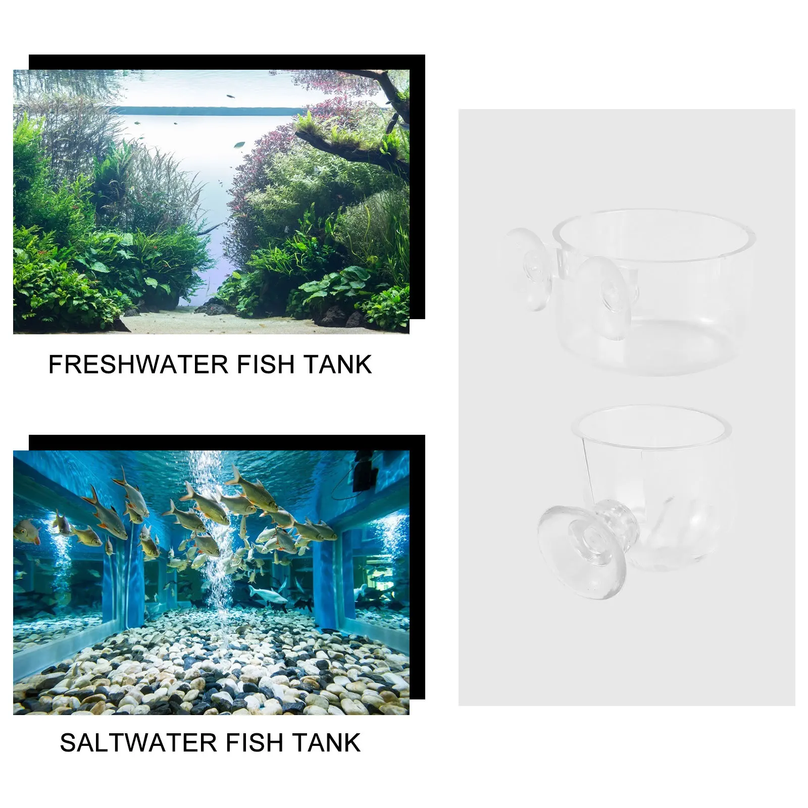 

2Pcs Fish Tank Feeder Acrylic Aquarium Food Container Removable Suction Cup for Fresh Saltwater Tropical Fish Feeding