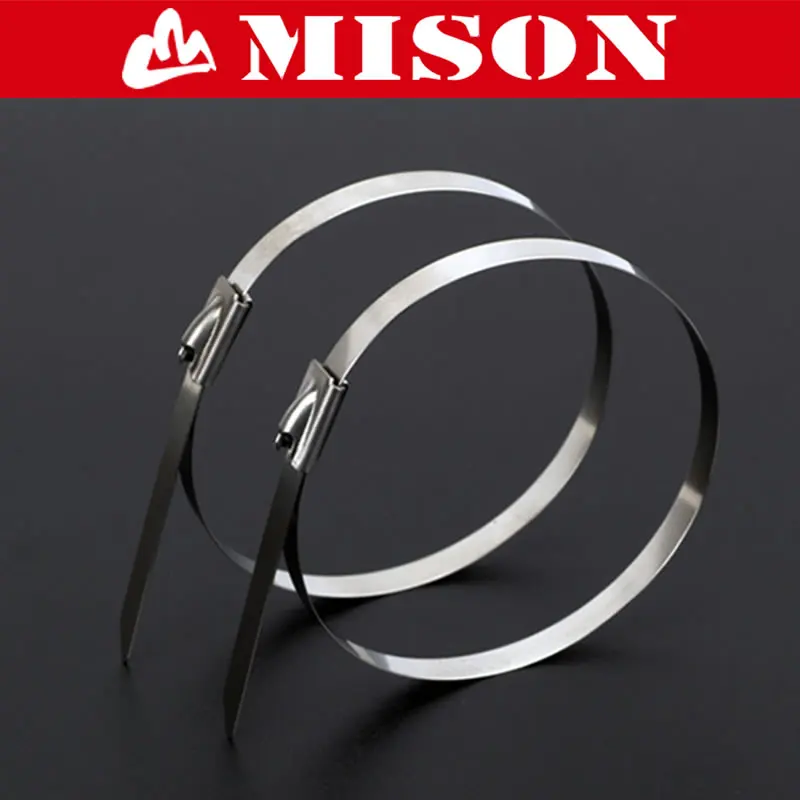 SS304 SS316 Self Locking Stainless Steel Cable Tie