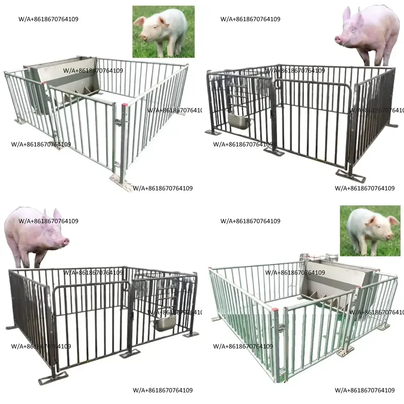 Pigs - Second-hand Pig Fences, Fattening Pigs and Fattening Rings