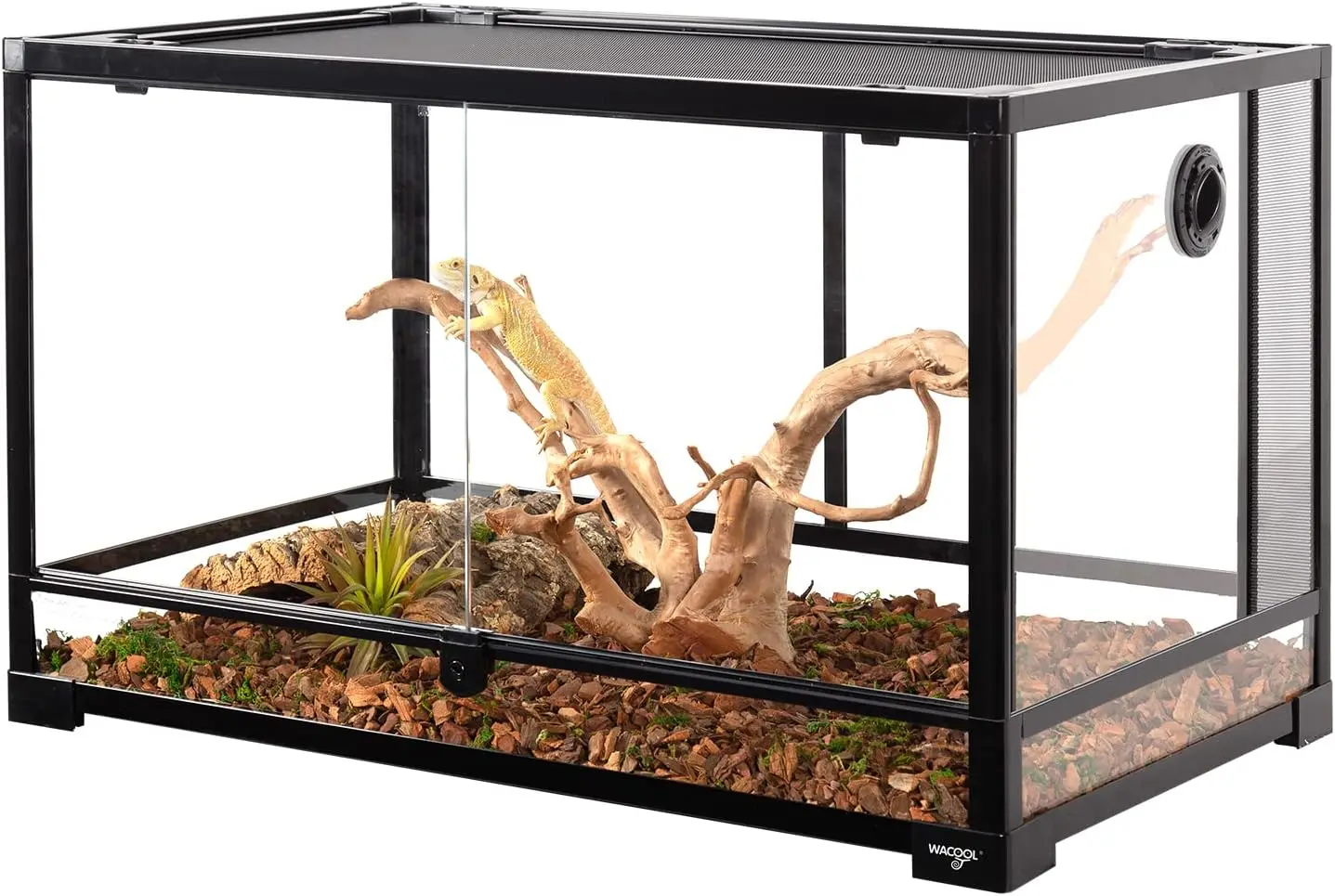 

Front Opening Reptile Terrarium for Reptile Pets Bearded Dragon Gecko Lizard, Top Screen Ventilation & Anti Escape Lid