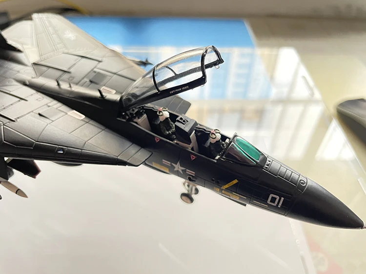 Fine 1/72 CW US F14 F-14A fighter model  VX4 squadron painting  Finished alloy collection model