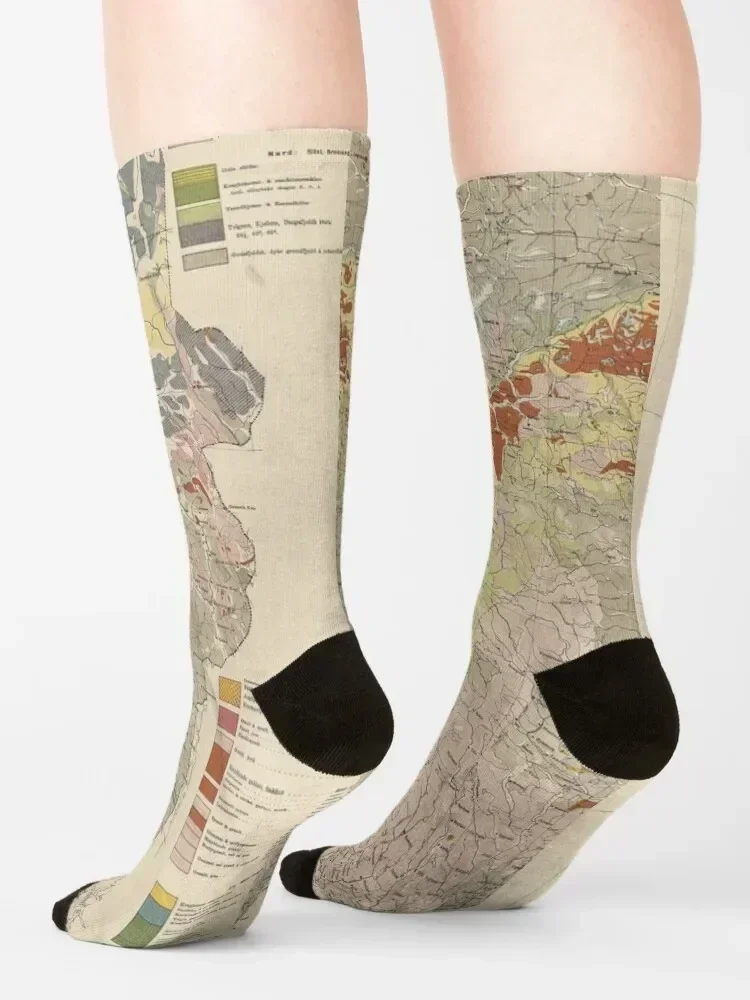 Vintage Geological Map of Norway (1878) Socks Sports Rugby Wholesale essential Socks For Men Women's
