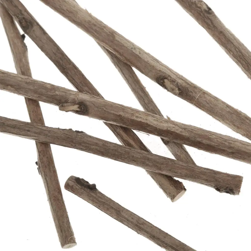 

Pack of Camellia for Craft Pet Mice Hamster Tree Branch Chew