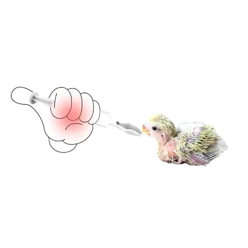 20ml Needle Feeder Bird Parrot Feeder Spoon with Manual Syringe Baby Bird Water Milk Medicine Feeding Needle Bird Supplies 4Pcs