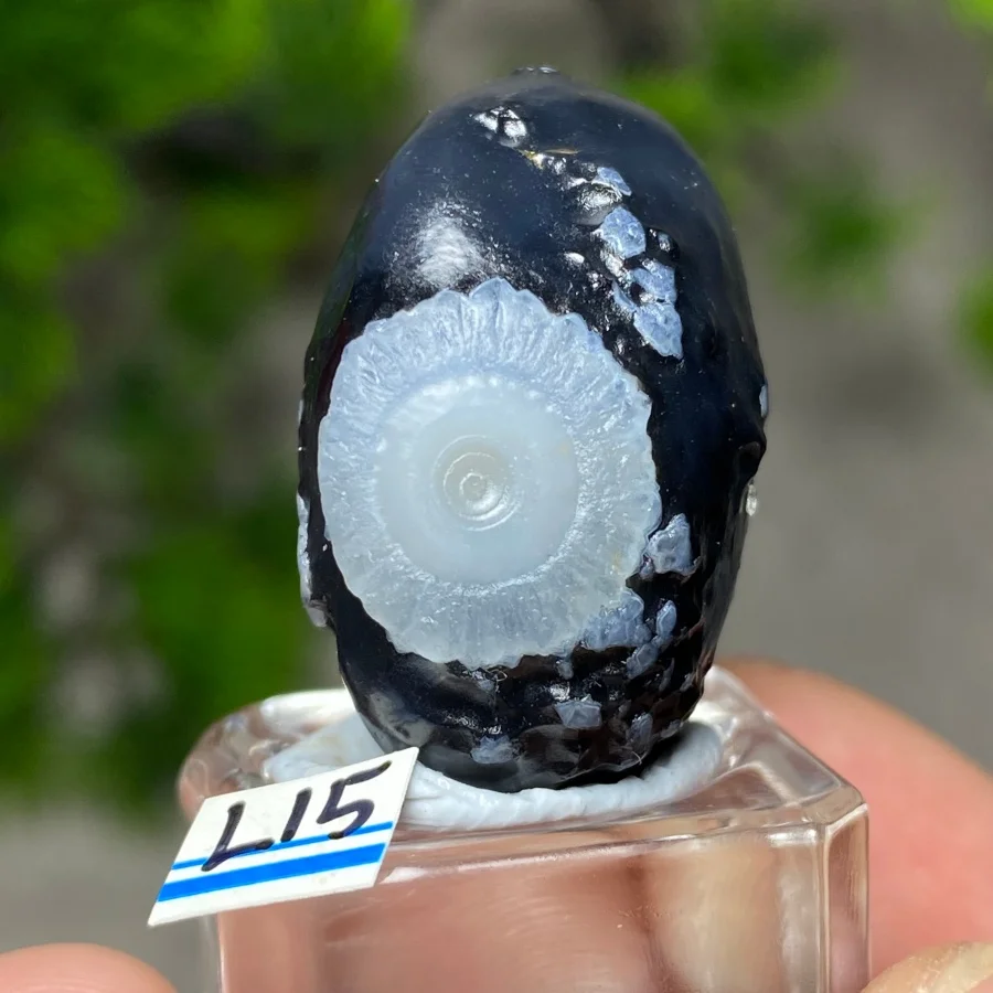 Natural  Gobi Alxa Eye Rock Mineral Specimen  Sardonyx Agate  Energy Crystal  Reiki Healing Stone  Home Decor+Bracket