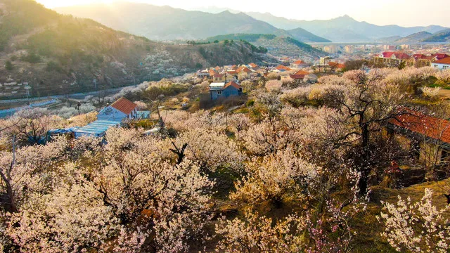 

Металлический регулируемый передний бампер для радиоуправляемых краулеров 1/10 Trax Trx4 Trx-4 Defender Axial SCX10 90046 EX86100 Redcat GEN 8