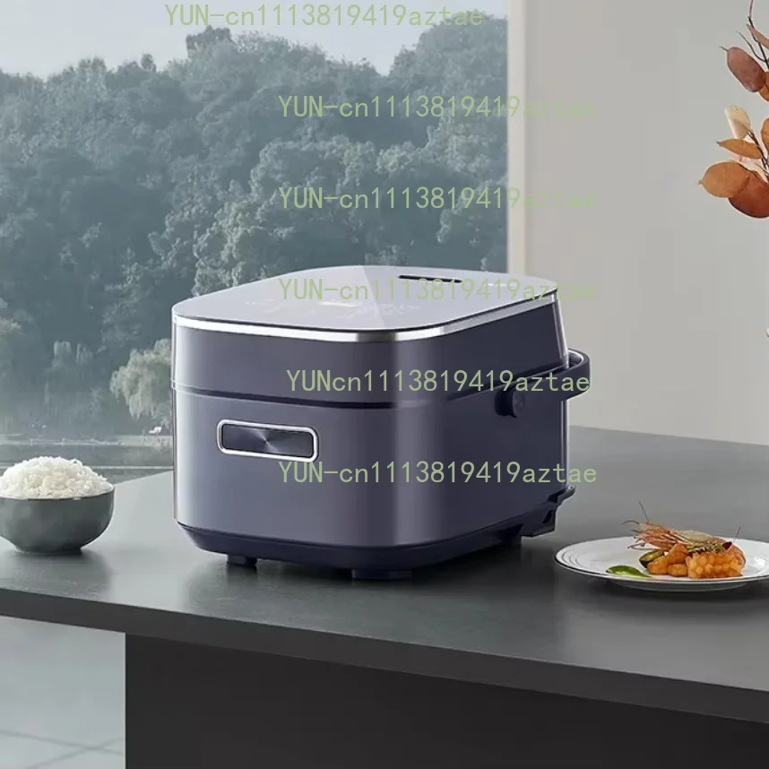 Pure Titanium Rice Cooker with Zero Coating, Dual IH Heating, Multifunctional 4L  Rice Cooker 4028H