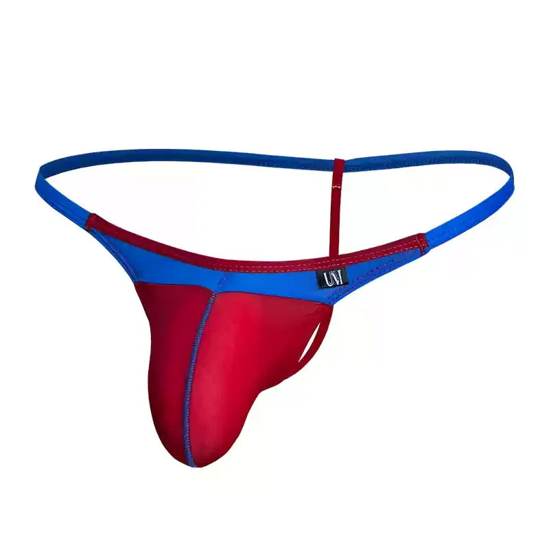 Men's Cool Silk Nylon Low Waist Thongs Underwear Sexy G-String Pouch Gay Men's Underwear Comfortable Breathable Briefs