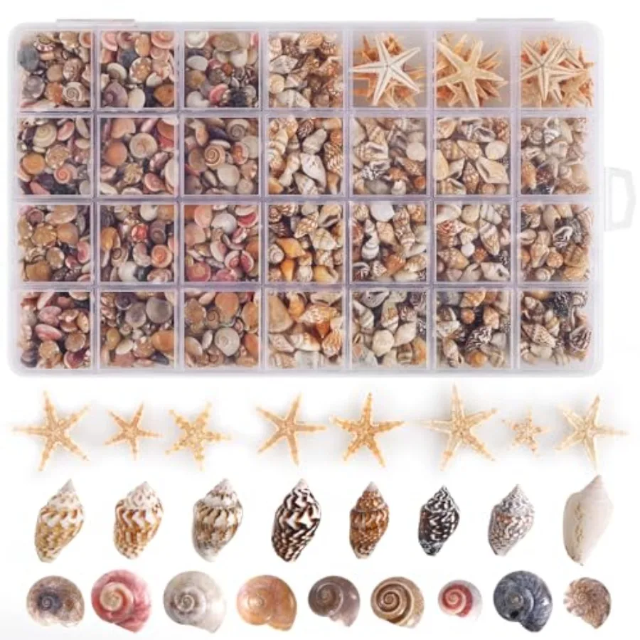 

PPCLION 60pcs Tiny Starfish 1800 Pcs Tiny Mini Small Sea Shells for Crafting Spiral Coh Shells for Crafts Charms for Home Decor