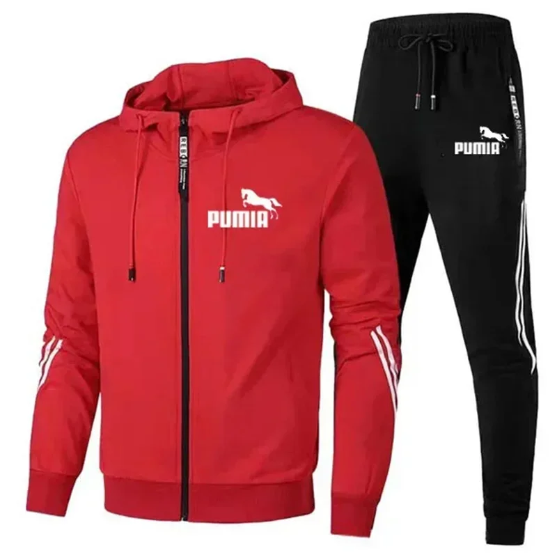 2PCS Design Tracksuit Mens Autumn Winter Hoody Jacket and Sweatpants Casual Print Sports Hoodies Jogging Suit