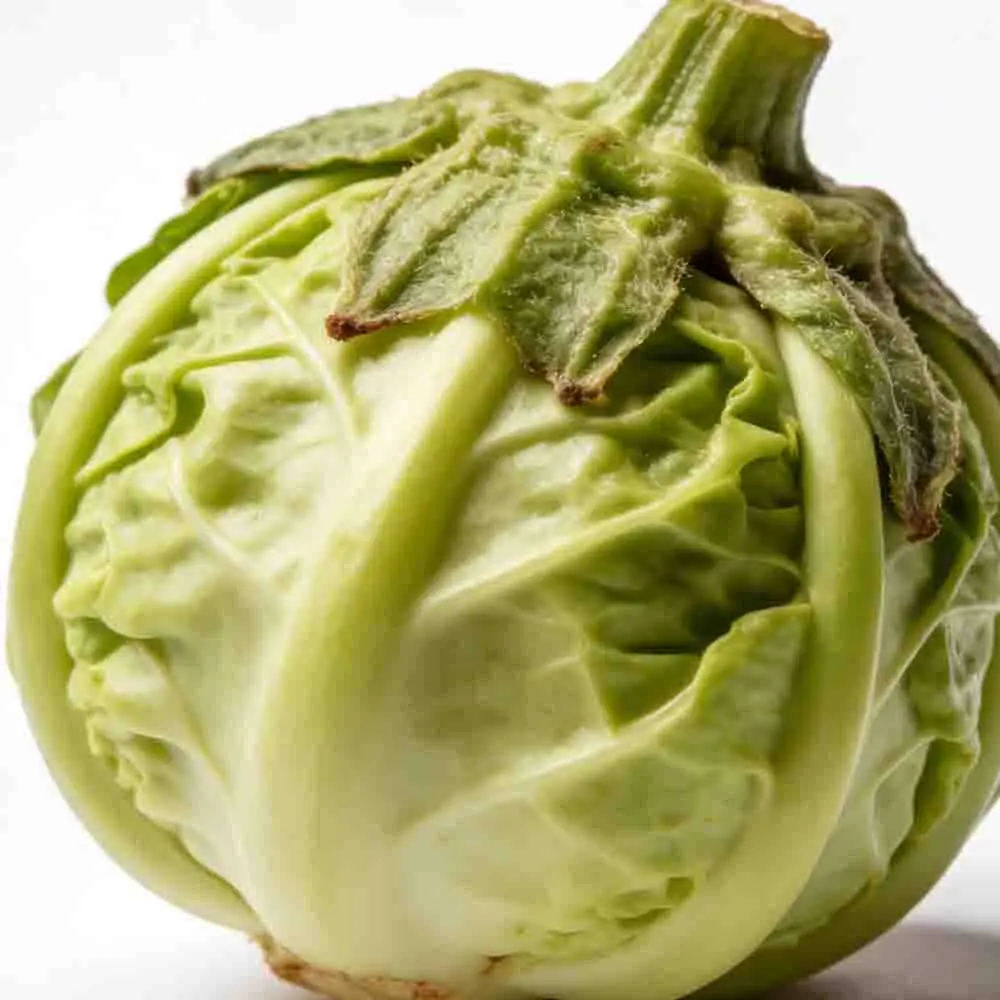 

Бесколлекторный двигатель Hobbywing Seaking 2040SL 2848SL 3660SL с водяным охлаждением для радиоуправляемых гоночных лодок, рыболовных судов, игрушек, запчасти для радиоуправляемых моделей 2026