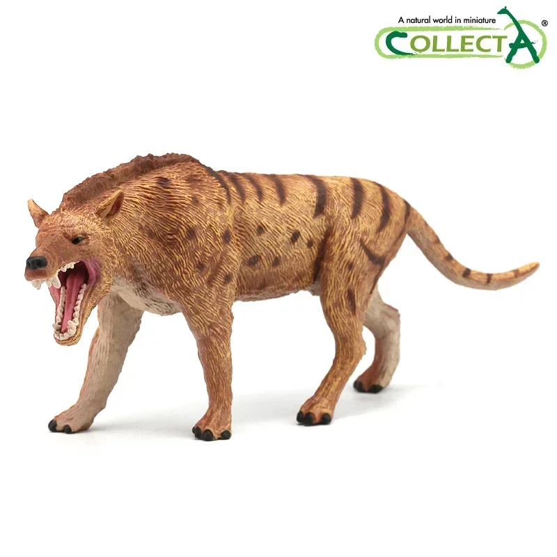 Collezione andrew wsarchus Deluxe 1:20 scala giocattoli classici modello animale figura 88772