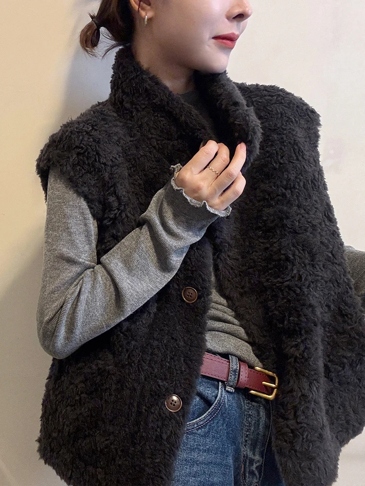 Faionable Lamb Fur Vest Women's Autumn Winter Thiened Svel Jaet Outerwear ort Top Layering Sle Stand Fit P...