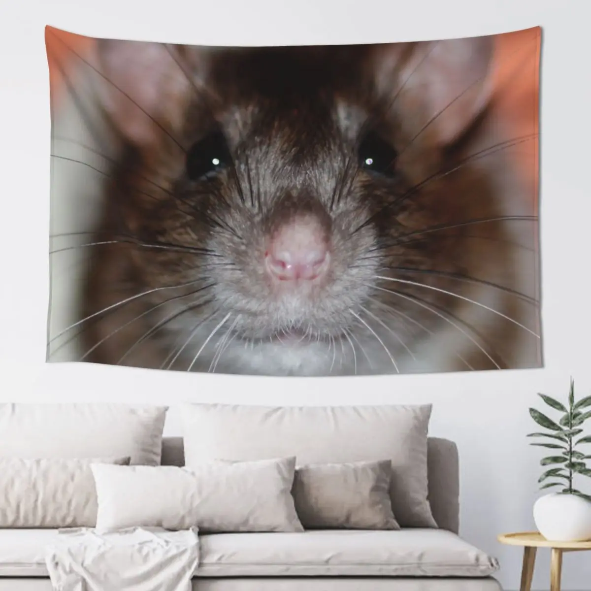 Squeak Posing Tapestry Room Decorations Aesthetics Aesthetic Room Decorations Tapestry