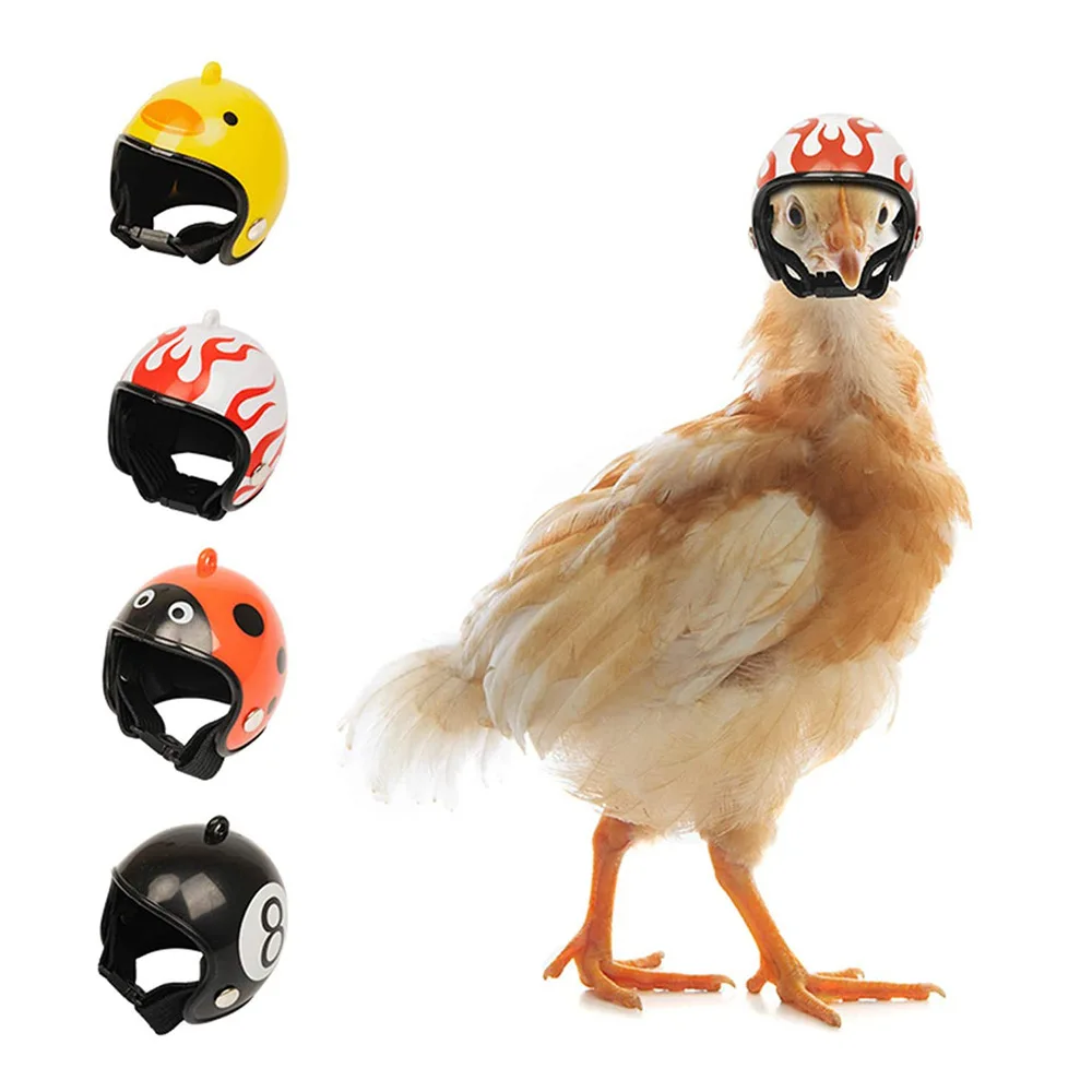 3 uds suministros para mascotas protección casco de pollo sombrero de gallina sombrero de pájaro auriculares casco para mascotas hámster