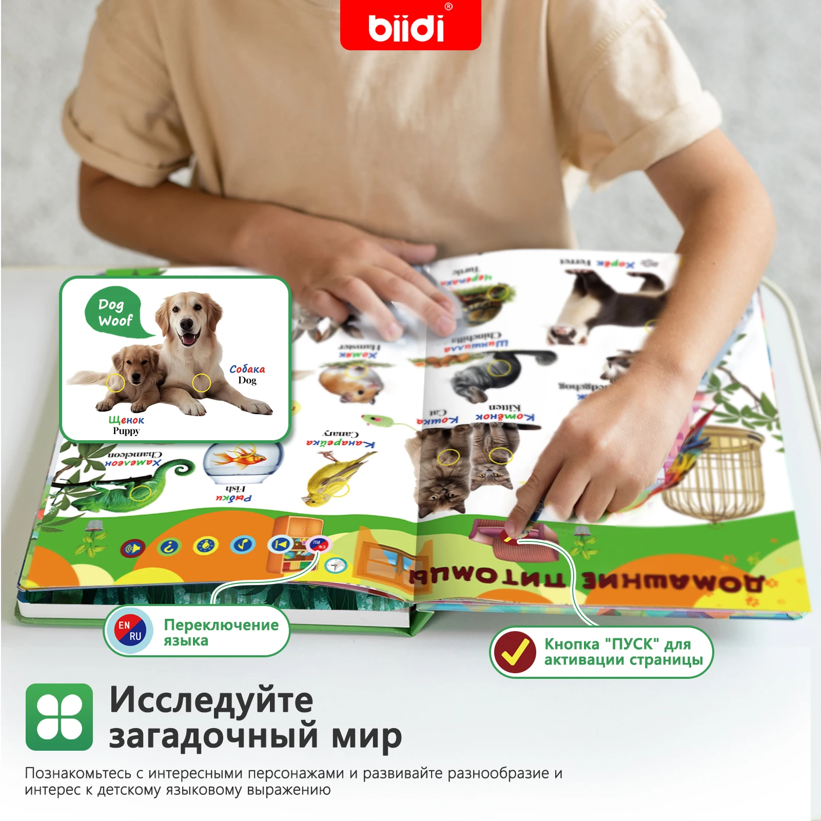 Russian-English Animal Sound Talking Book for Kids Interactive Musical Toy