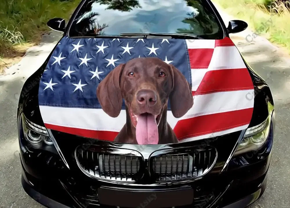 

Виниловые наклейки на капот автомобиля с американским флагом и животным, виниловая пленка, наклейки на крышку двигателя, универсальная защитная пленка на капот автомобиля