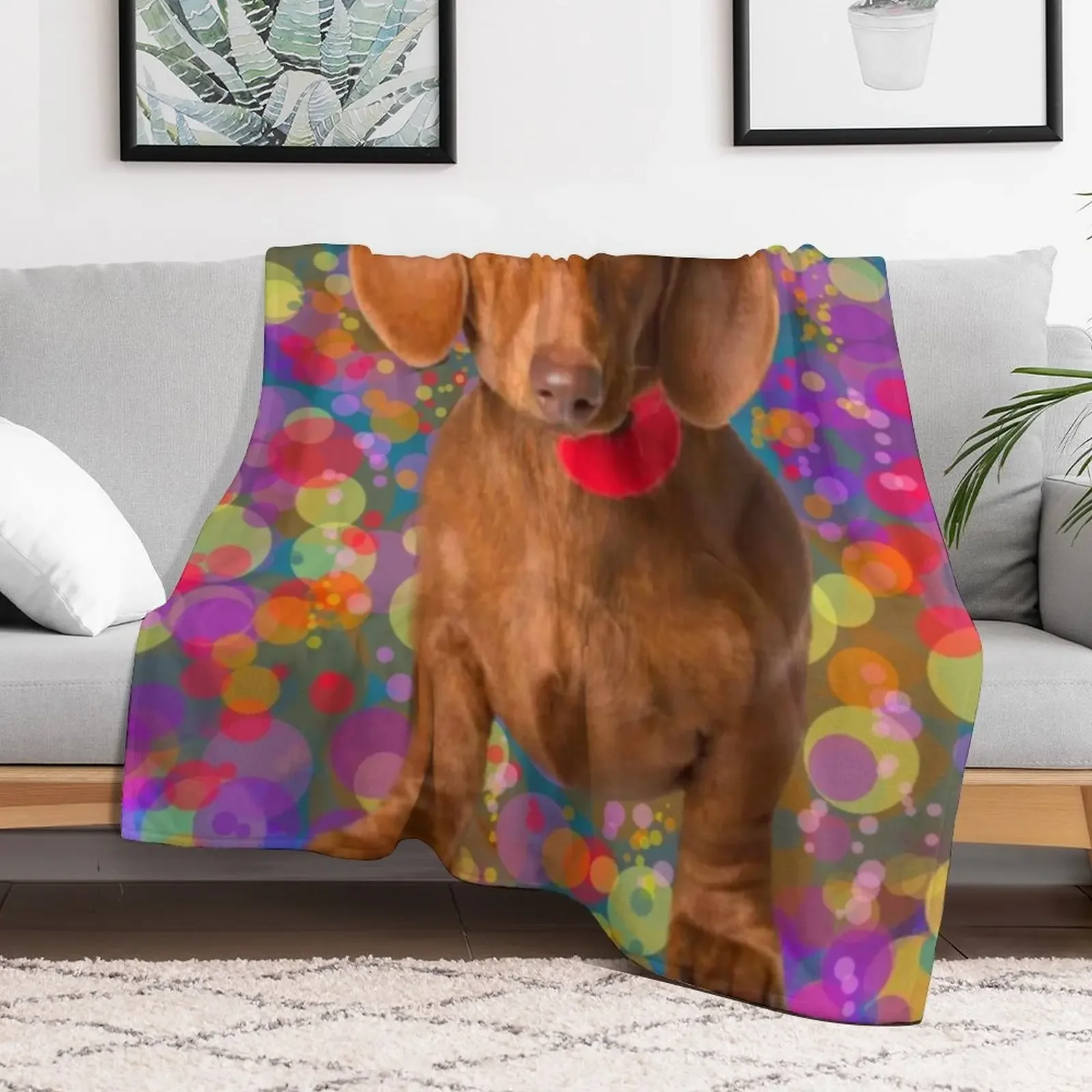 The Vibrant Dachshund Throw Blanket Long Lasting Soft Plush Blanket for Daily Use