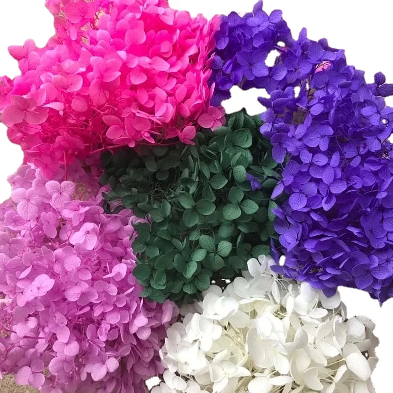 6~6.5g Natural Fresh Preserved Flowers Dried Small Leaves Hydrangea Flower Heads For DIY Real Eternal Life Flowers Material