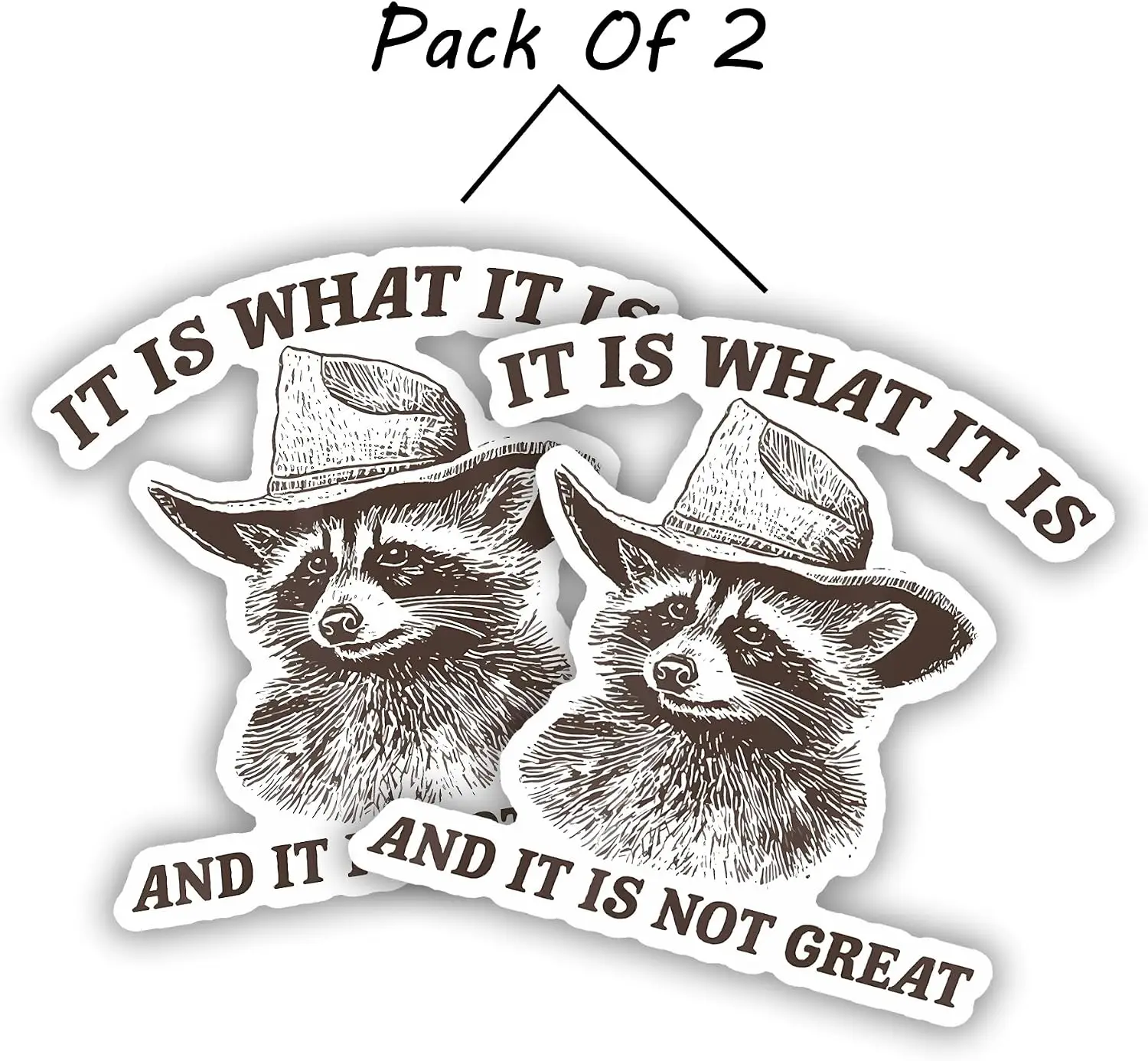 2 Pack It Is What It Is And It Is Not Great Raccoon PVC Sticker For Vehicle Window And Luggage Decorative Design Decal