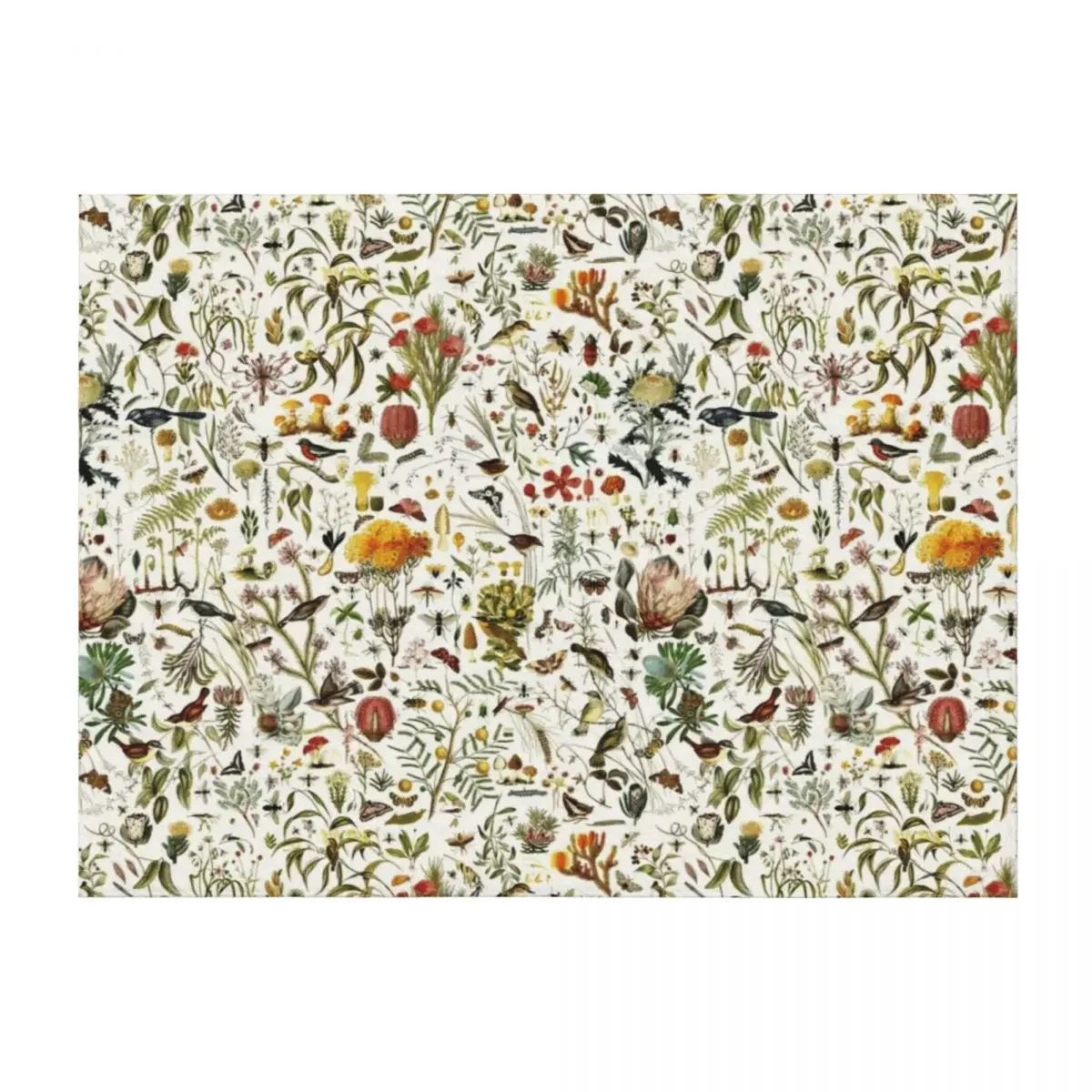 

Biology Australia. Throw Blanket Summer Bed Fashionable Plush Decorative Sofa Blankets