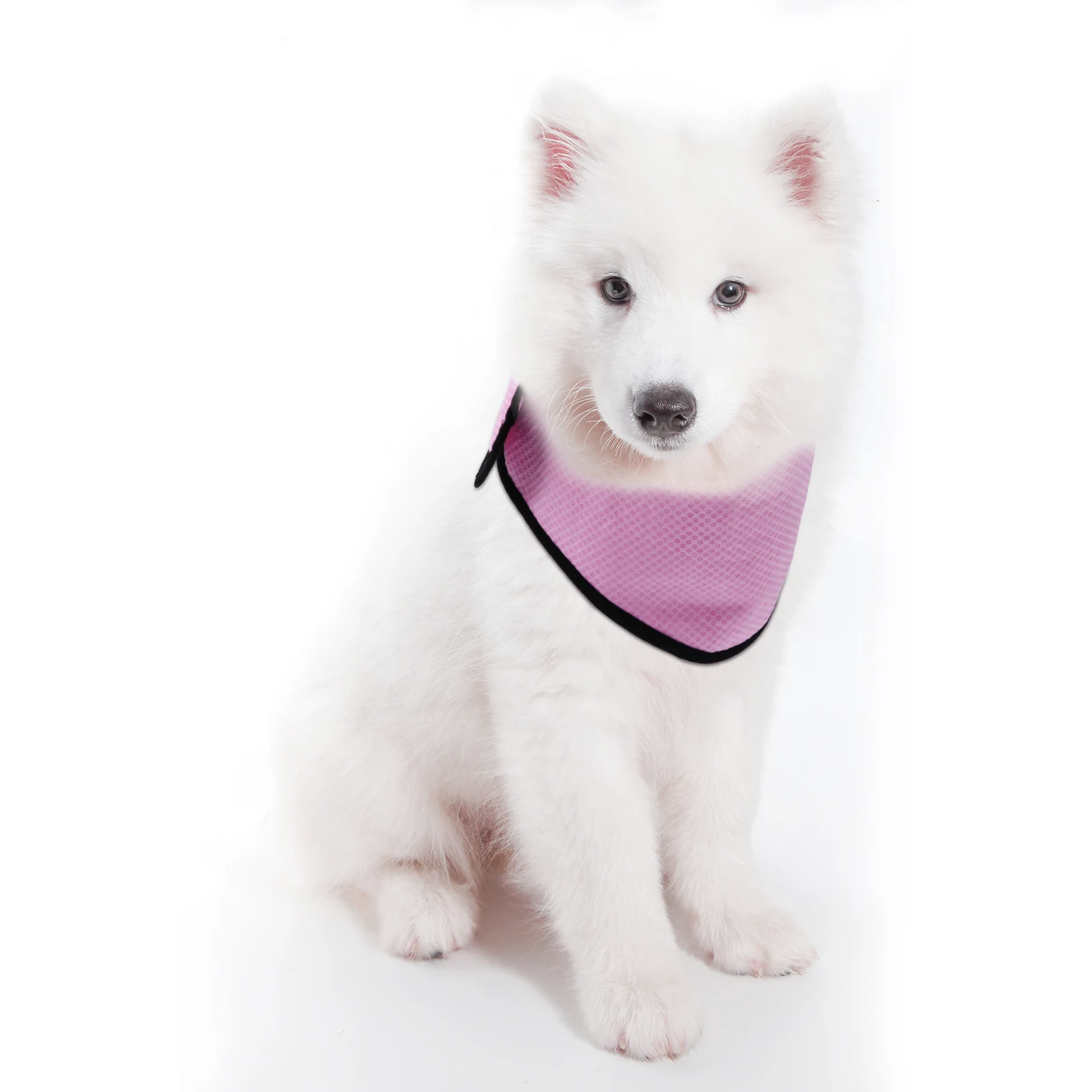 

Pet Cooling Scarf Breathable Heat Reduction Dog Ice Towel Summer Cooling Collar