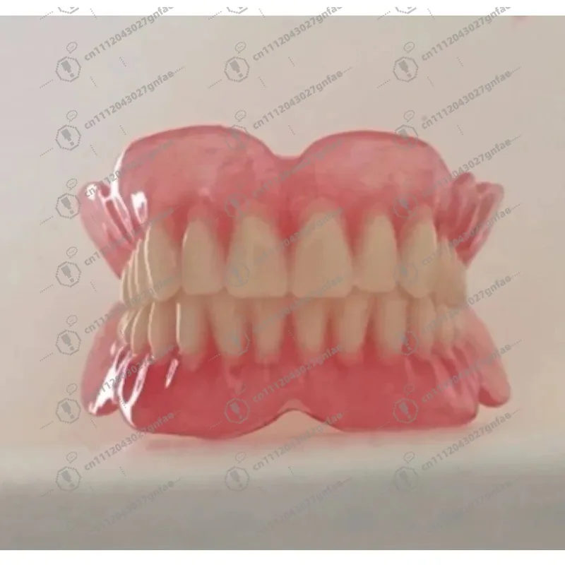 Wholesale full mouth denture sample models and elderly full mouth and half mouth tooth models are available image 2