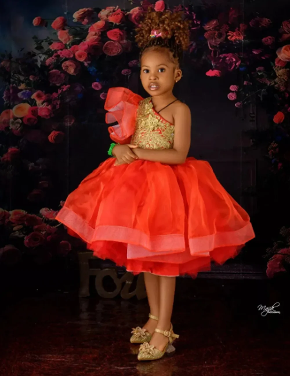 

Customized Red Flower Girl Dresses For Wedding Gold Appliques One Shoulder Child Birthday Party First Communion Pageant Gown