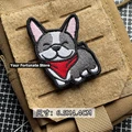 Boston Terrier
